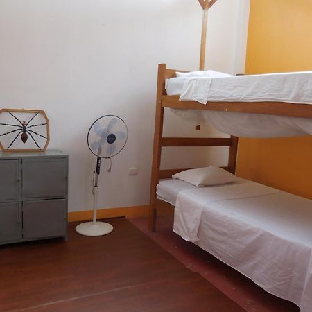 Tambopata Hostel Пуэрто-Мальдонадо Экстерьер фото