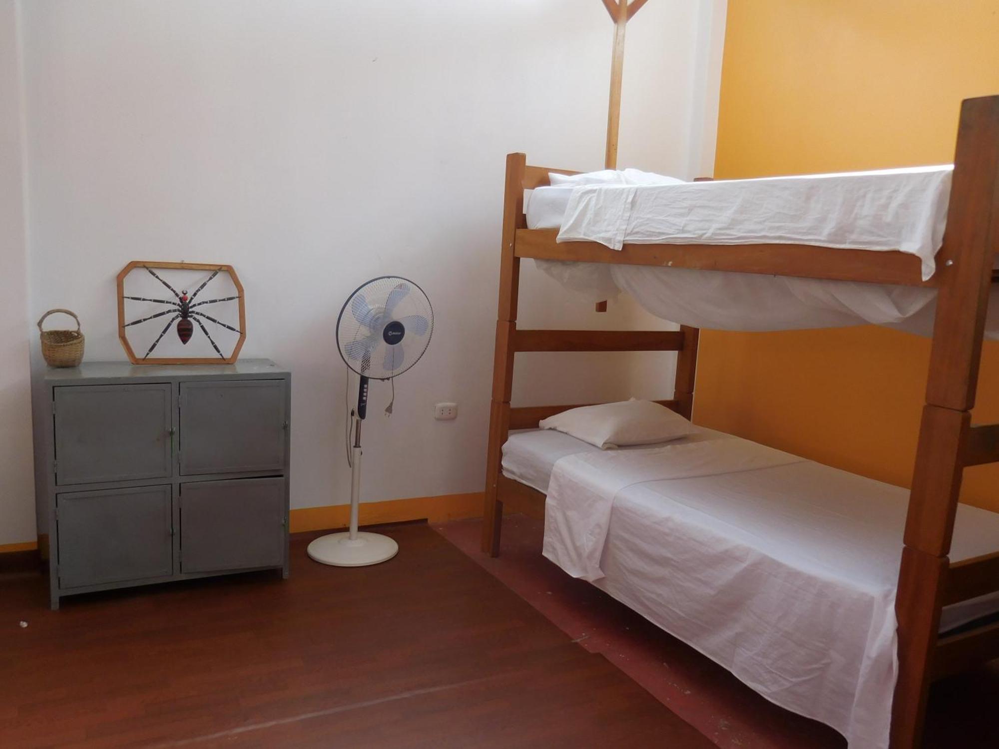 Tambopata Hostel Пуэрто-Мальдонадо Экстерьер фото