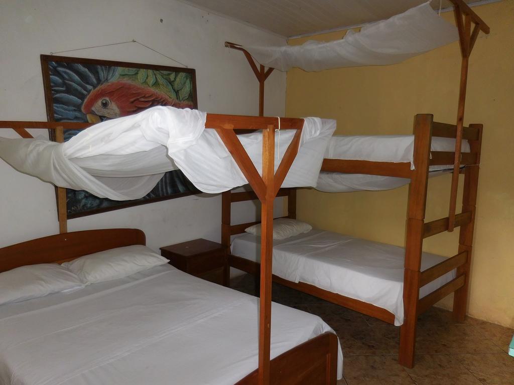 Tambopata Hostel Пуэрто-Мальдонадо Экстерьер фото