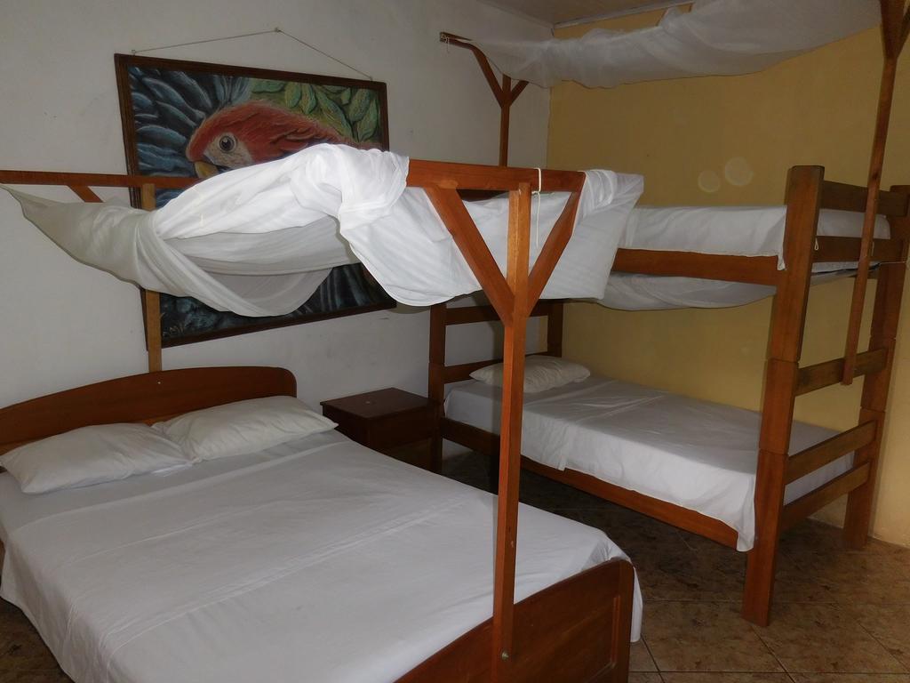 Tambopata Hostel Пуэрто-Мальдонадо Экстерьер фото